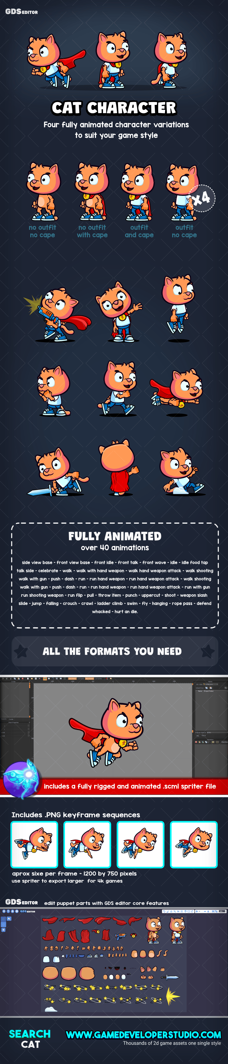 Animated  Cat character