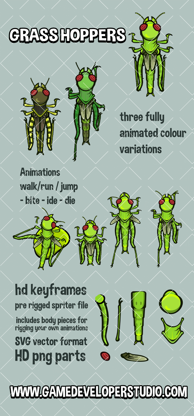 animated top down grasshopper insect game sprite