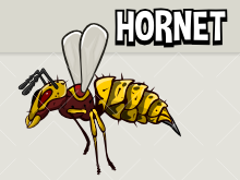 Hornet
