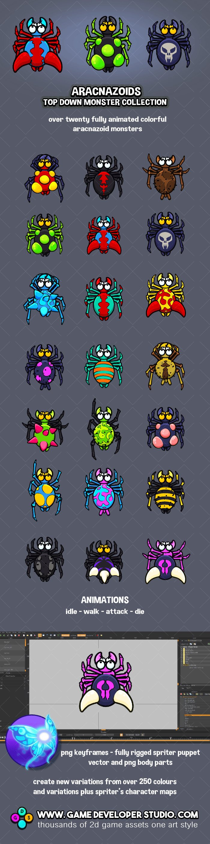 Top down monster  aracnoid collection